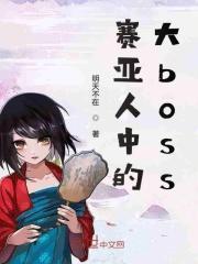 赛亚人中的大bossTXT