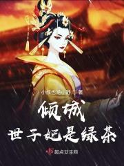 倾云恋之倾城世子妃