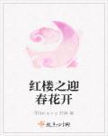 红楼之迎春花开全文阅读