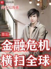 重生在次贷危机横扫全球无错