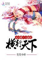 高冷殿下全能妃横行天下