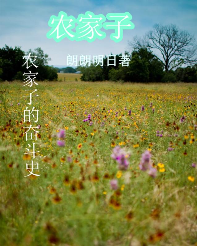 农家子的为官之路
