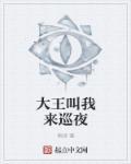 大王叫我来巡夜是什么歌