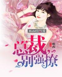 总裁hold不住秦浩铭