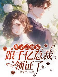 和总裁闪婚