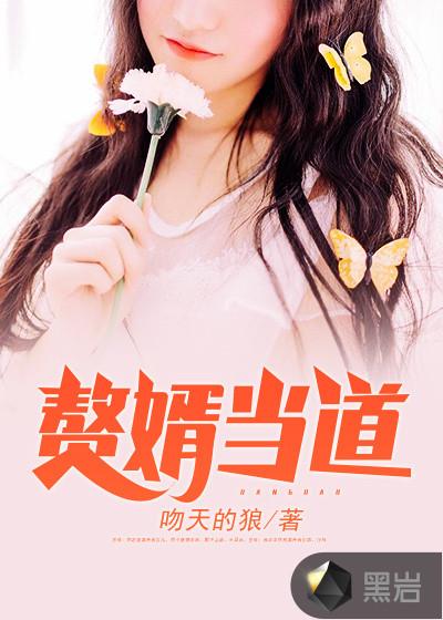 赘婿当道贴吧