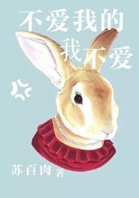 不爱我的歌词说明了什么
