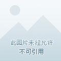 天才狂医苏凯